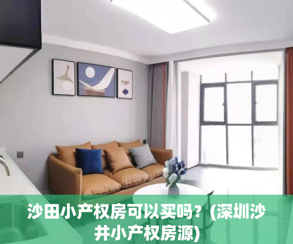 沙田小产权房可以买吗?(深圳沙井小产权房源)