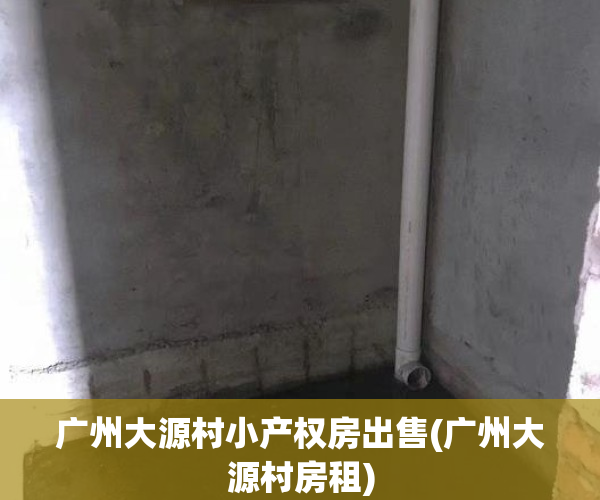 广州大源村小产权房出售(广州大源村房租)