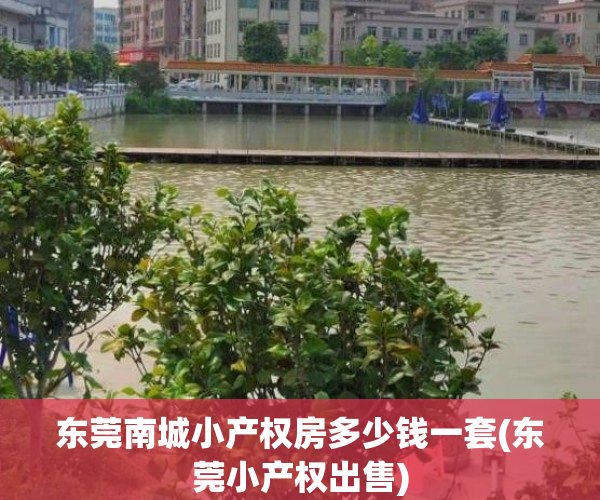 东莞南城小产权房多少钱一套(东莞小产权出售)