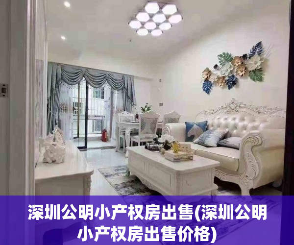 深圳公明小产权房出售(深圳公明小产权房出售价格)