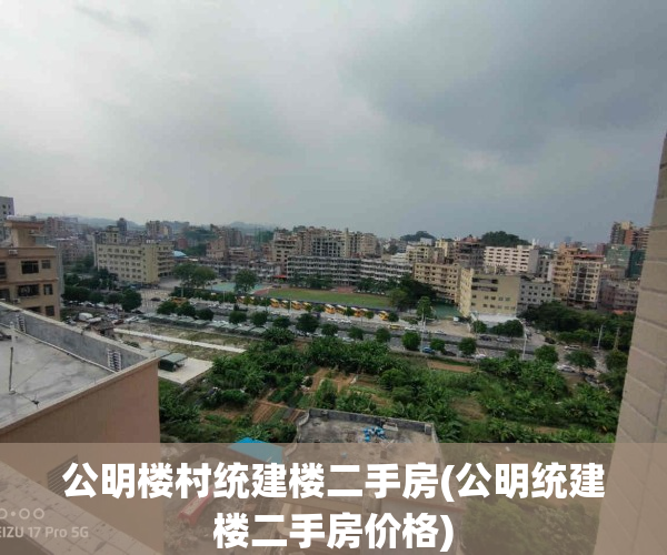 公明楼村统建楼二手房(公明统建楼二手房价格)