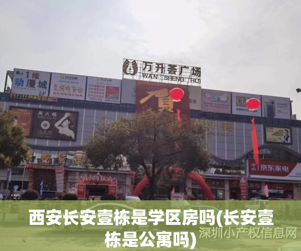 西安长安壹栋是学区房吗(长安壹栋是公寓吗)
