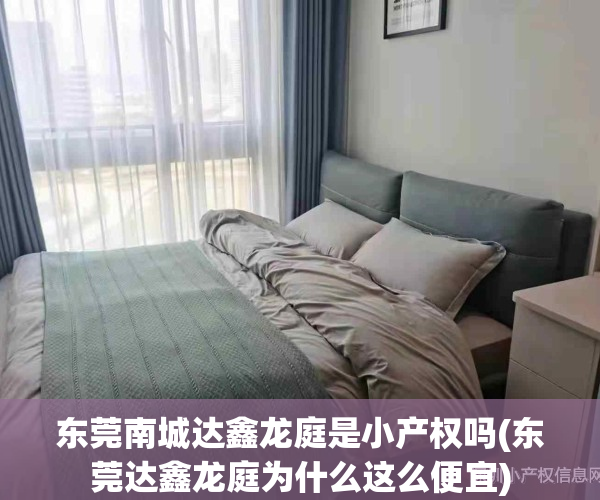 东莞南城达鑫龙庭是小产权吗(东莞达鑫龙庭为什么这么便宜)
