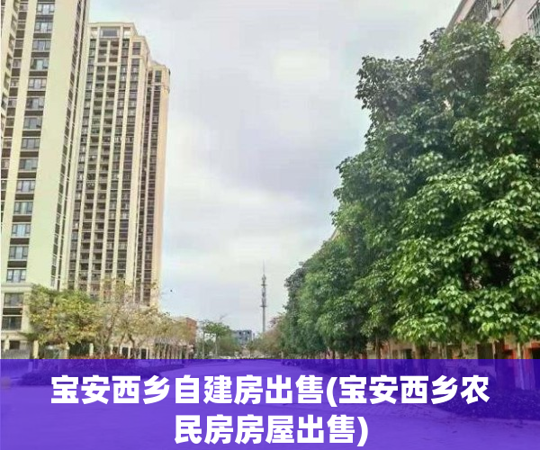 宝安西乡自建房出售(宝安西乡农民房房屋出售)