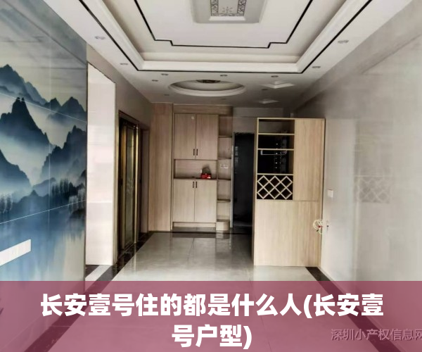 长安壹号住的都是什么人(长安壹号户型)