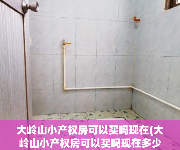 大岭山小产权房可以买吗现在(大岭山小产权房可以买吗现在多少钱)