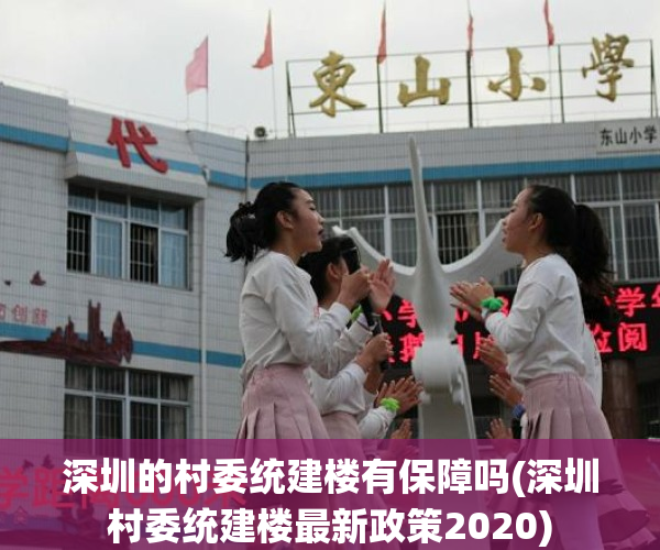 深圳的村委统建楼有保障吗(深圳村委统建楼最新政策2020)