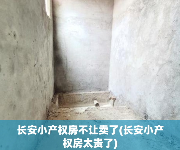 长安小产权房不让卖了(长安小产权房太贵了)