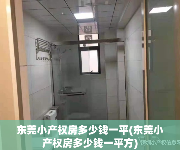 东莞小产权房多少钱一平(东莞小产权房多少钱一平方)