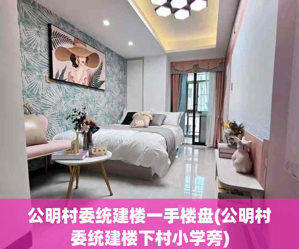 公明村委统建楼一手楼盘(公明村委统建楼下村小学旁)