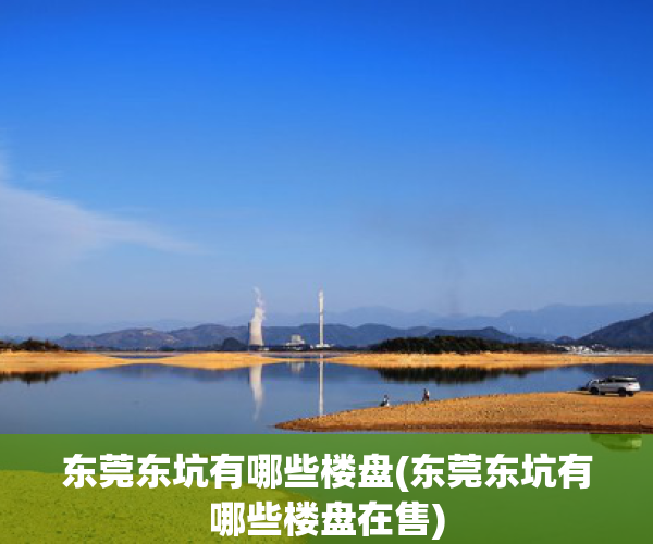 东莞东坑有哪些楼盘(东莞东坑有哪些楼盘在售)