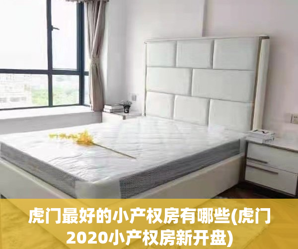 虎门最好的小产权房有哪些(虎门2020小产权房新开盘)
