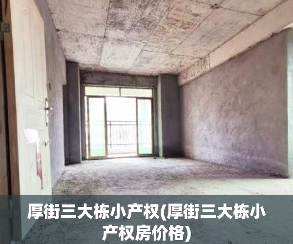 厚街三大栋小产权(厚街三大栋小产权房价格)