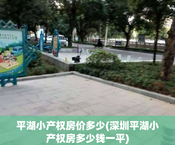 平湖小产权房价多少(深圳平湖小产权房多少钱一平)