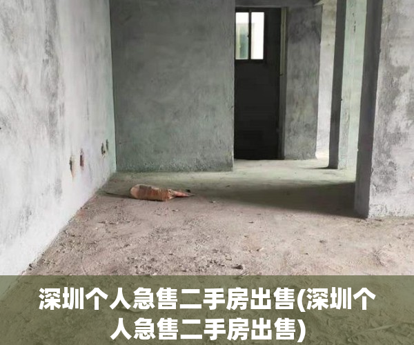 深圳个人急售二手房出售(深圳个人急售二手房出售)