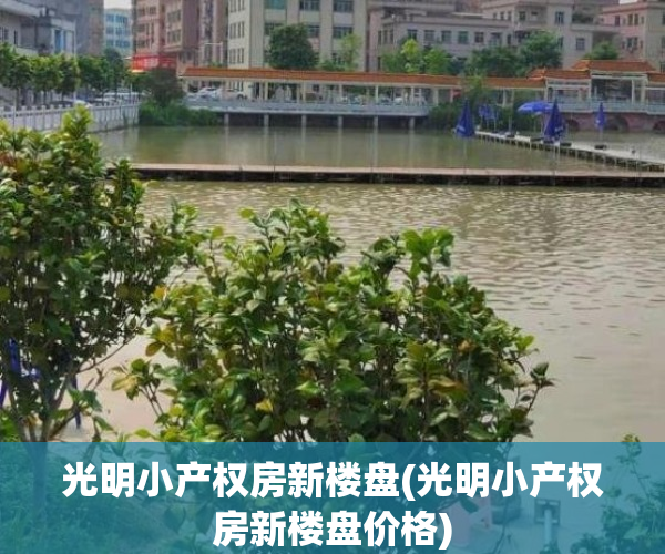 光明小产权房新楼盘(光明小产权房新楼盘价格)