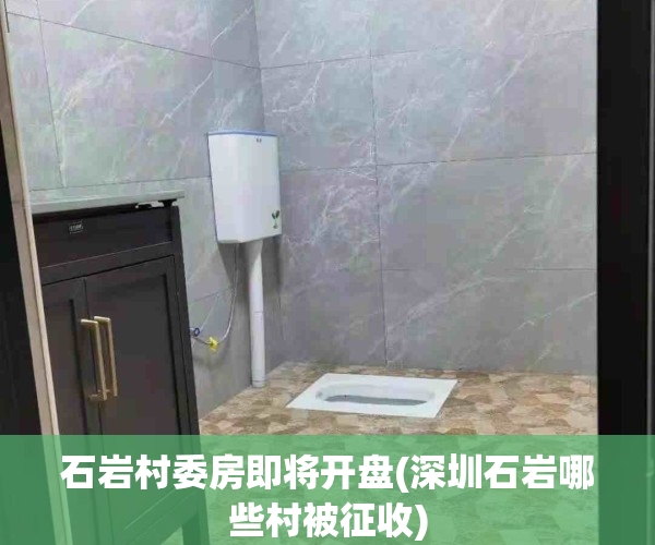 石岩村委房即将开盘(深圳石岩哪些村被征收)