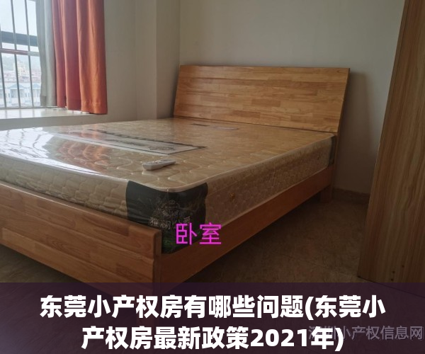 东莞小产权房有哪些问题(东莞小产权房最新政策2021年)