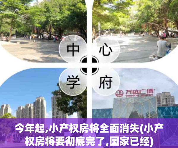 今年起,小产权房将全面消失(小产权房将要彻底完了,国家已经)