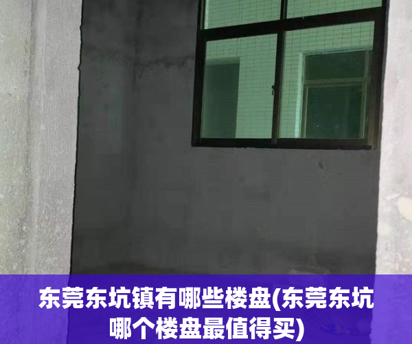 东莞东坑镇有哪些楼盘(东莞东坑哪个楼盘最值得买)