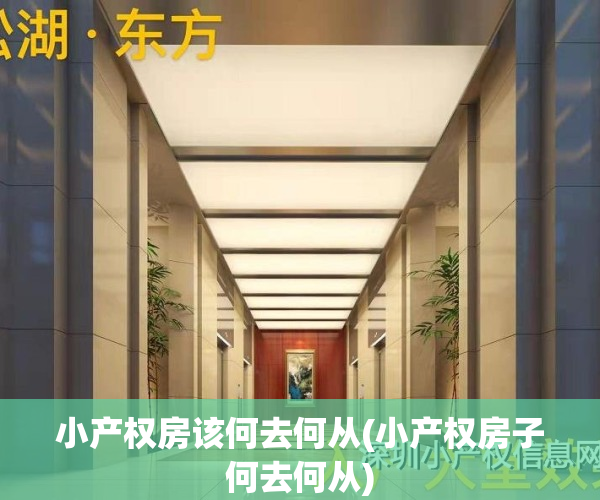 小产权房该何去何从(小产权房子何去何从)