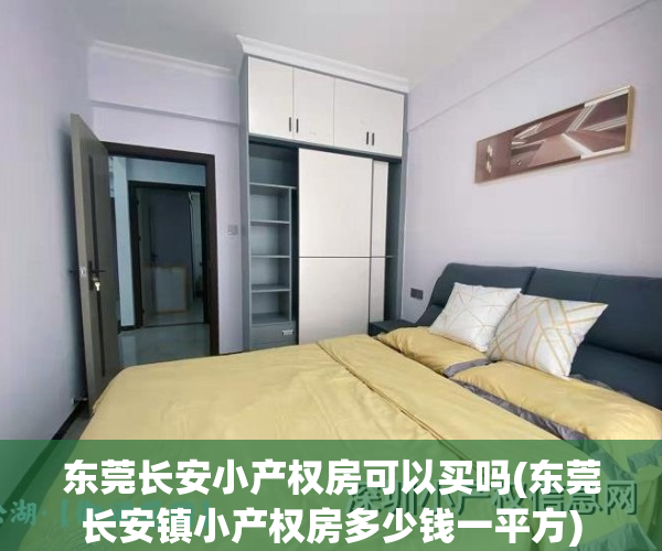 东莞长安小产权房可以买吗(东莞长安镇小产权房多少钱一平方)
