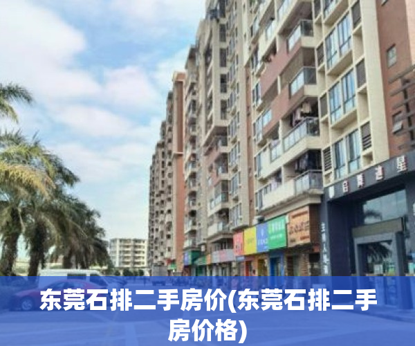 东莞石排二手房价(东莞石排二手房价格)
