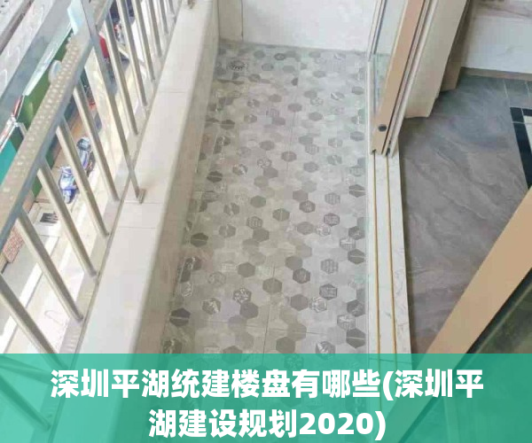 深圳平湖统建楼盘有哪些(深圳平湖建设规划2020)