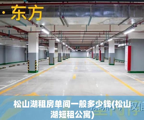 松山湖租房单间一般多少钱(松山湖短租公寓)