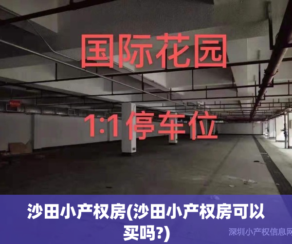 沙田小产权房(沙田小产权房可以买吗?)