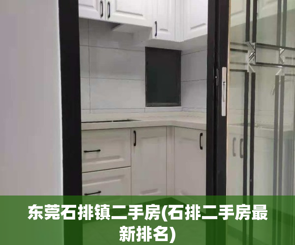 东莞石排镇二手房(石排二手房最新排名)