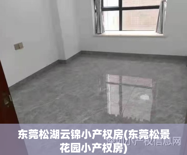 东莞松湖云锦小产权房(东莞松景花园小产权房)