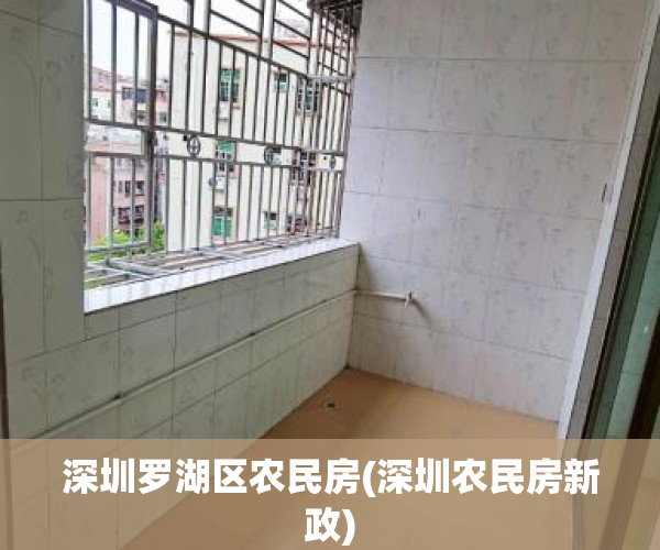 深圳罗湖区农民房(深圳农民房新政)