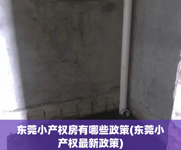 东莞小产权房有哪些政策(东莞小产权最新政策)