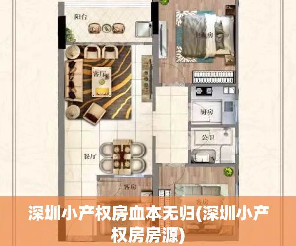 深圳小产权房血本无归(深圳小产权房房源)