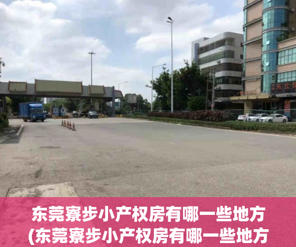 东莞寮步小产权房有哪一些地方(东莞寮步小产权房有哪一些地方卖)
