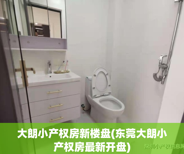 大朗小产权房新楼盘(东莞大朗小产权房最新开盘)