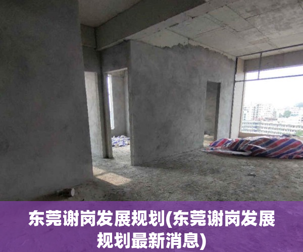 东莞谢岗发展规划(东莞谢岗发展规划最新消息)