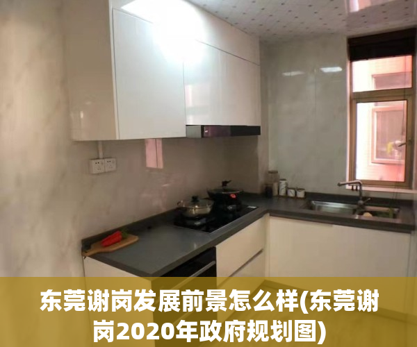 东莞谢岗发展前景怎么样(东莞谢岗2020年政府规划图)