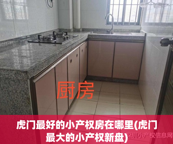 虎门最好的小产权房在哪里(虎门最大的小产权新盘)