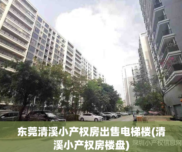 东莞清溪小产权房出售电梯楼(清溪小产权房楼盘)