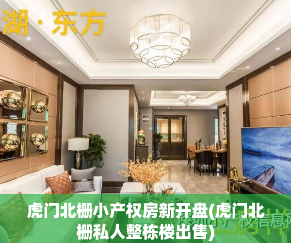 虎门北栅小产权房新开盘(虎门北栅私人整栋楼出售)