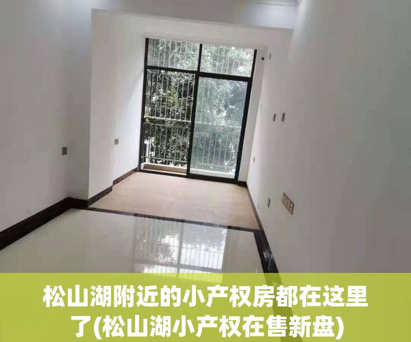 松山湖附近的小产权房都在这里了(松山湖小产权在售新盘)