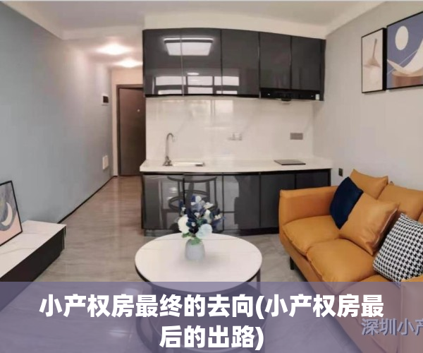 小产权房最终的去向(小产权房最后的出路)
