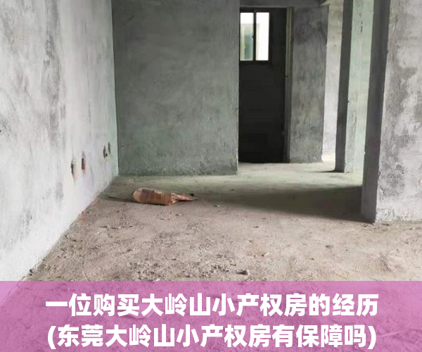 一位购买大岭山小产权房的经历(东莞大岭山小产权房有保障吗)