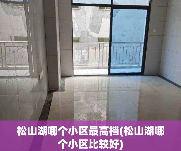 松山湖哪个小区最高档(松山湖哪个小区比较好)