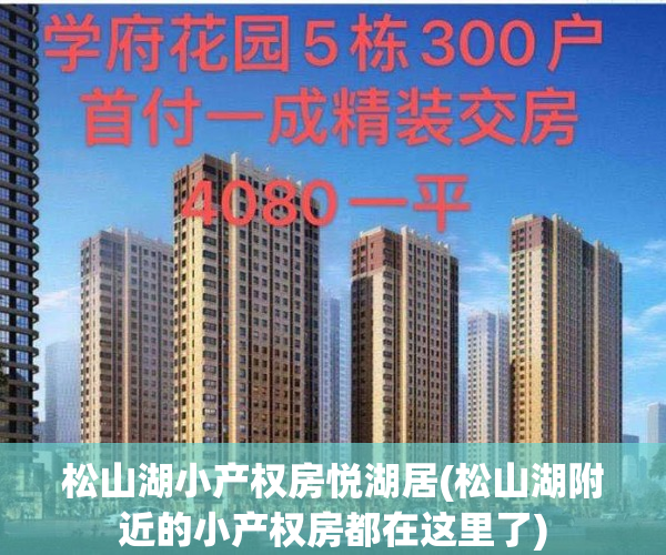 松山湖小产权房悦湖居(松山湖附近的小产权房都在这里了)