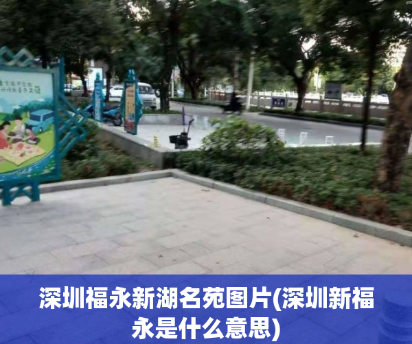 深圳福永新湖名苑图片(深圳新福永是什么意思)