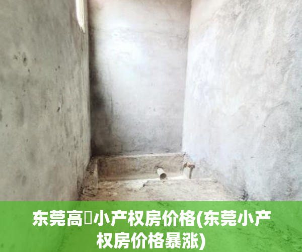东莞高埗小产权房价格(东莞小产权房价格暴涨)