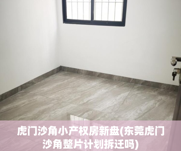 虎门沙角小产权房新盘(东莞虎门沙角整片计划拆迁吗)